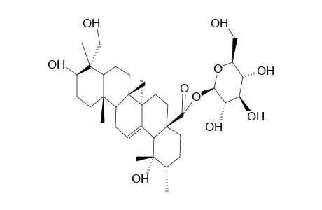 PEDUNCULOSIDE