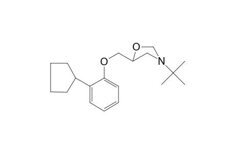 Penbutolol-A (CH2O,-H2O)