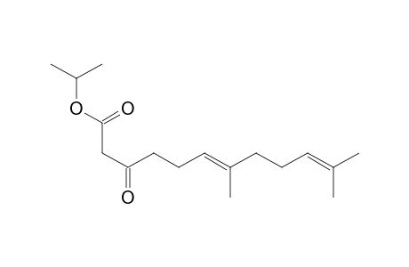 (6E)-3-keto-7,11-dimethyl-dodeca-6,10-dienoic acid isopropyl ester