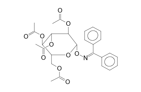 O-(2,3,4,6-TETRA-O-ACETYL-BETA-D-GLUCOPYRANOSYL)BENZOPHENONOXIME