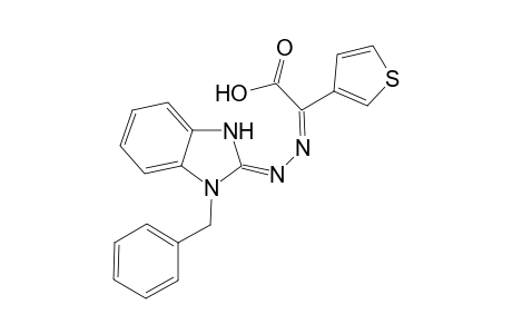 2-[1-Benzylbenzimidazol-2-yl)hydrazono] N'-[.alpha.-(thien-3'-yl)acetic acid]