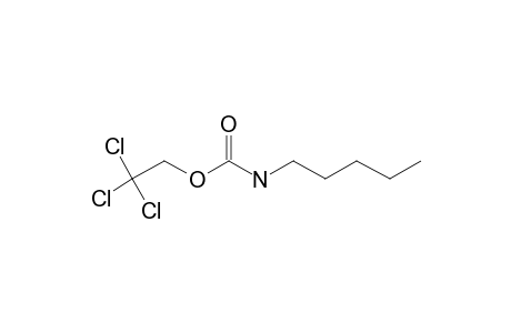 Carbonic acid, monoamide, N-pentyl-, 2,2,2-trichloroethyl ester