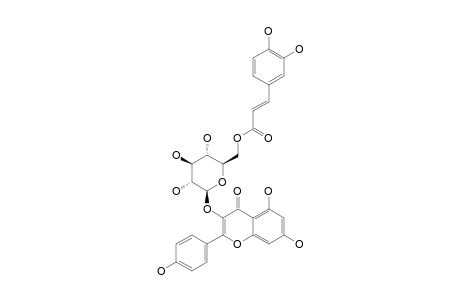 KAEMPFEROL-3-O-BETA-(6''-CAFFEOYLGLUCOPYRANOSIDE)