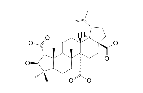 CEANOTHETRIC-ACID;2-ALPHA-CARBOXY-3-BETA-HYDROXY-3-(2->1)-ABEOLUP-20(29)-EN-27,28-DIOIC-ACID