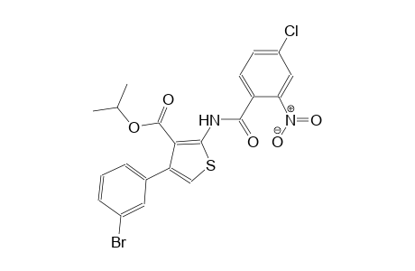 isopropyl 4-(3-bromophenyl)-2-[(4-chloro-2-nitrobenzoyl)amino]-3-thiophenecarboxylate