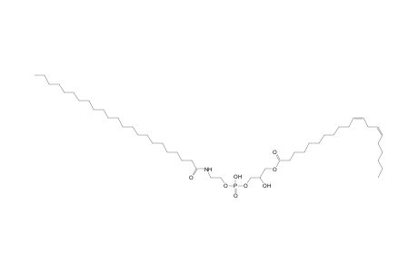 LNAPE 20:2/N-23:0