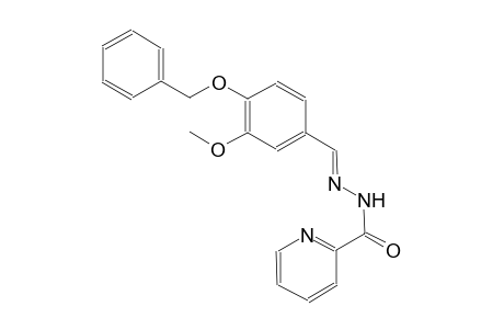 N'-{(E)-[4-(benzyloxy)-3-methoxyphenyl]methylidene}-2-pyridinecarbohydrazide
