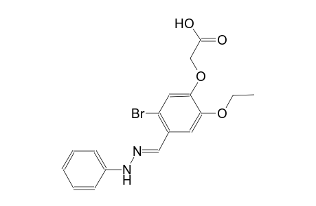 {5-bromo-2-ethoxy-4-[(E)-(phenylhydrazono)methyl]phenoxy}acetic acid
