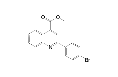Methyl 2-(4-bromophenyl)quinoline-4-carboxylate
