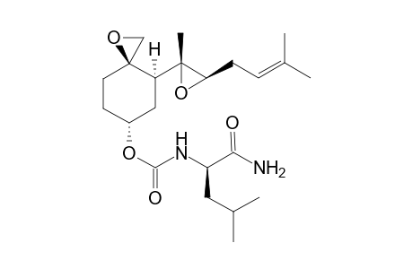 [(3R,4S,6R)-4-[(2R,3R)-2-methyl-3-(3-methylbut-2-enyl)oxiran-2-yl]-1-oxaspiro[2.5]octan-6-yl] N-[(1R)-1-carbamoyl-3-methyl-butyl]carbamate