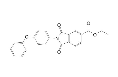 1H-isoindole-5-carboxylic acid, 2,3-dihydro-1,3-dioxo-2-(4-phenoxyphenyl)-, ethyl ester