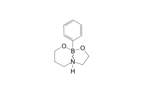 PERHYDRO-2-PHENYL-1,3,6,2-DIOXAZABORONINE