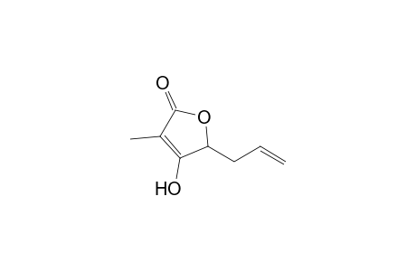 5-Allyl-4-hydroxy-3-methyl-5H-furan-2-one