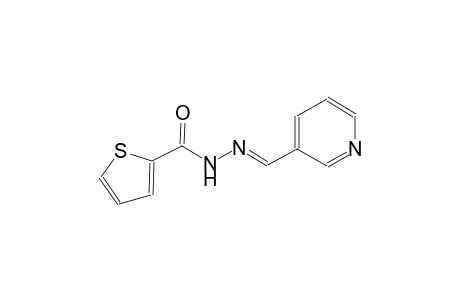 N'-[(E)-3-pyridinylmethylidene]-2-thiophenecarbohydrazide