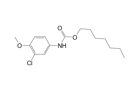 Carbamic acid, N-(3-chloro-4-methoxyphenyl)-, heptyl ester