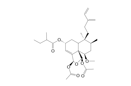 CASEARLUCIN-E;REL-(2R,5R,6R,8S,9S,10R,18S,19R)-18,19-DIACETOXY-18,19-EPOXY-6-METHOXY-2-(2-XI-METHYLBUTANOYLOXY)-CLERODA-3,13(16),14-TRIENE