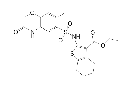 2-[(3-keto-7-methyl-4H-1,4-benzoxazin-6-yl)sulfonylamino]-4,5,6,7-tetrahydrobenzothiophene-3-carboxylic acid ethyl ester