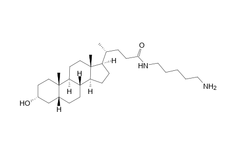 N-(1-1,5-diaminopentyl)lithocholylamide