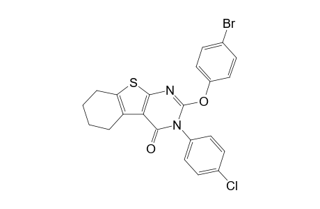 2-(4-Bromophenyloxy)-3-(4-chlorophenyl)-5,6,7,8-tetrahydrobenzothieno[2,3-d]pyrimidin-4(3H)-one