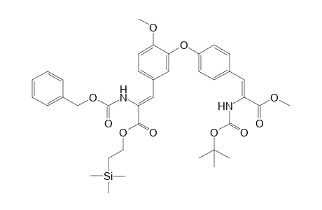 (Z)-3-[4-[2-methoxy-5-[(Z)-3-oxo-2-(phenylmethoxycarbonylamino)-3-(2-trimethylsilylethoxy)prop-1-enyl]phenoxy]phenyl]-2-[[(2-methylpropan-2-yl)oxy-oxomethyl]amino]-2-propenoic acid methyl ester