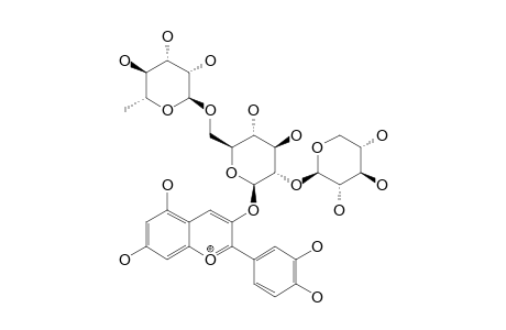 CYANIDIN-3-O-[BETA-D-XYLOPYRANOSYL-(1->2)]-RUTINOSIDE