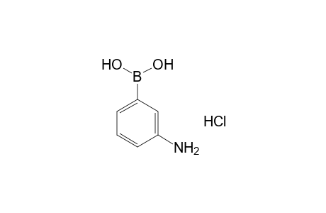 3-Aminobenzeneboronic acid hydrochloride