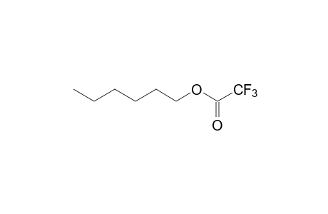trifluoroacetic acid, hexyl ester