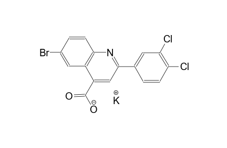 potassium 6-bromo-2-(3,4-dichlorophenyl)-4-quinolinecarboxylate