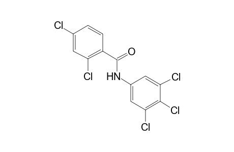 2,4-Dichloro-N-(3,4,5-trichloro-phenyl)-benzamide