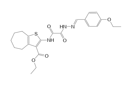 ethyl 2-{[[(2E)-2-(4-ethoxybenzylidene)hydrazino](oxo)acetyl]amino}-5,6,7,8-tetrahydro-4H-cyclohepta[b]thiophene-3-carboxylate