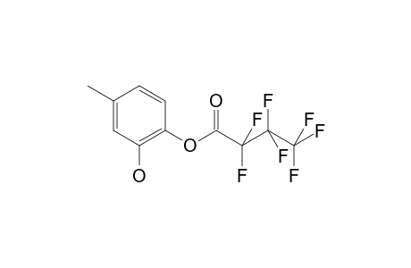 4-Methylcatechol HFB