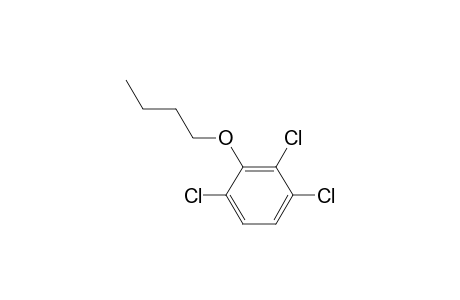 2,3,6-Trichlorophenyl butyl ether