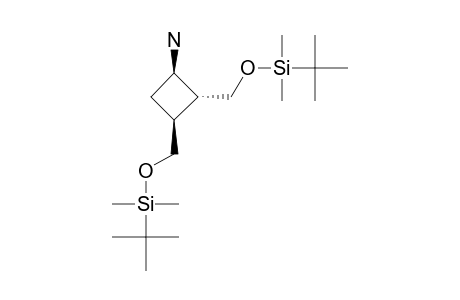 (1-beta,2-alpha,3-beta)-2,3-BIS-(tert-BUTYL-DIMETHYLSILOXYMETHYL)-CYCLOBUTYLAMINE