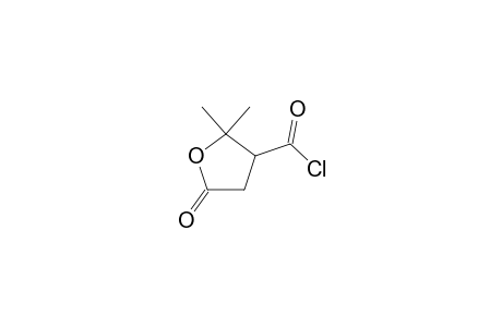 Terebic acid, chloride