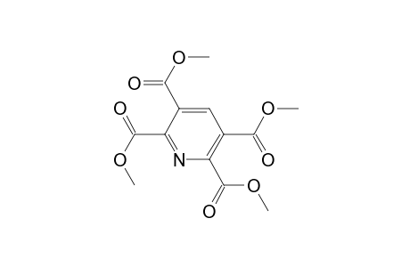 Pyridine-2,3,5,6-tetracarboxylic acid tetramethyl ester