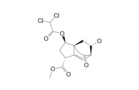 8-SYN-METHYL-(1R,3R,3AR,6R,8S)-3-DICHLOROACETOXY-8-HYDROXY-5-OXO-1,2,3,4,5,6-HEXAHYDRO-3A,6-ETHANO-3AH-INDENE-1-CARBOXYLATE