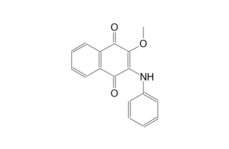 2-anilino-3-methoxynaphthoquinone