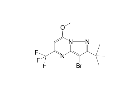 Pyrazolo[1,5-a]pyrimidine, 3-bromo-2-tert-butyl-5-trifluoromethyl-7-methoxy-