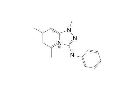 1,5,7-Trimethyl-1,2,4-triazolo[4,3-a]pyridinium-3-phenylaminide