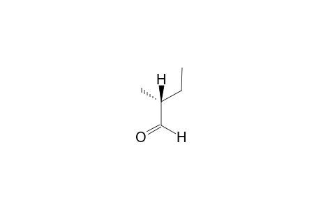 (S)-2-Methylbutanal