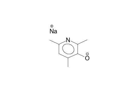 2,4,6-TRIMETHYL-3-HYDROXYPYRIDINE, SODIUM SALT