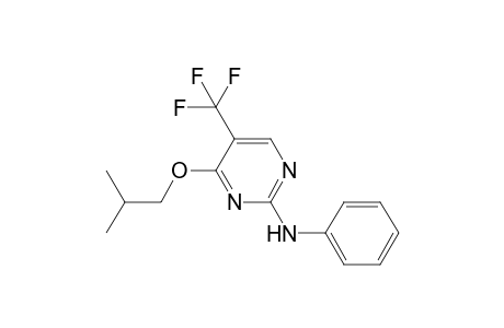 2-phenylamino-4-iso-butoxy-5-(trifluoromethyl)pyrimidine