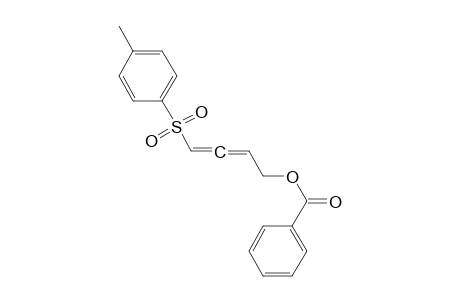 2,3-Butadien-1-ol, 4-[(4-methylphenyl)sulfonyl]-, benzoate