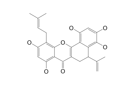 ARTOCHAMIN_E;5,6-DIHYDRO-1,3,4,8,10-PENTAHYDROXY-5-(1-METHYLETHENYL)-11-(3-METHYL-2-BUTENYL)-7H-BENZO-[C]-XANTHEN-7-ONE