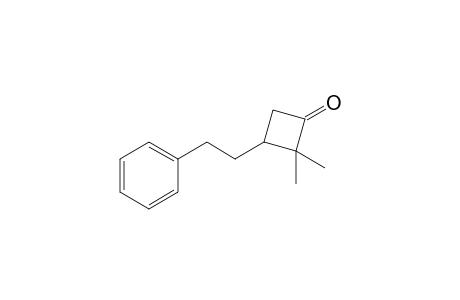 2,2-Dimethyl-3-(phenylethyl)-cyclobutanone