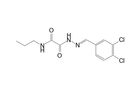 Acetamide, 2-(3,4-dichlorobenzylidenhydrazino)-2-oxo-n-propyl-