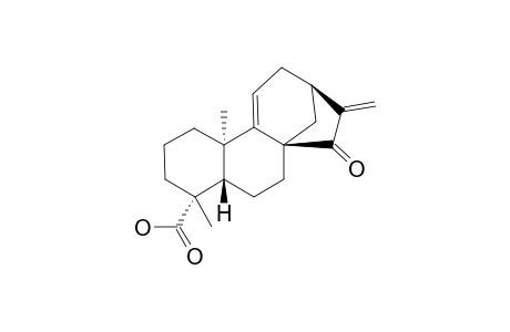 15-OXO-ENT-KAUR-9-(11),16-DIEN-19-OIC_ACID;LICAMICHAUXIIOIC_ACID_A