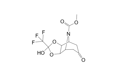 Methyl 4,5,6,7,8,8a-hexahydro-2-hydroxy-6-oxo-2-(trifluoromethyl)-4,8-epi-imino-3aH-cyclohepta[d]-(1,3)-dioxole-9-carboxylate