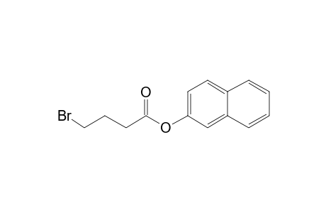 4-Bromobutyric acid, 2-naphthyl ester