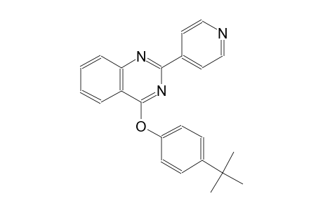 4-tert-butylphenyl 2-(4-pyridinyl)-4-quinazolinyl ether